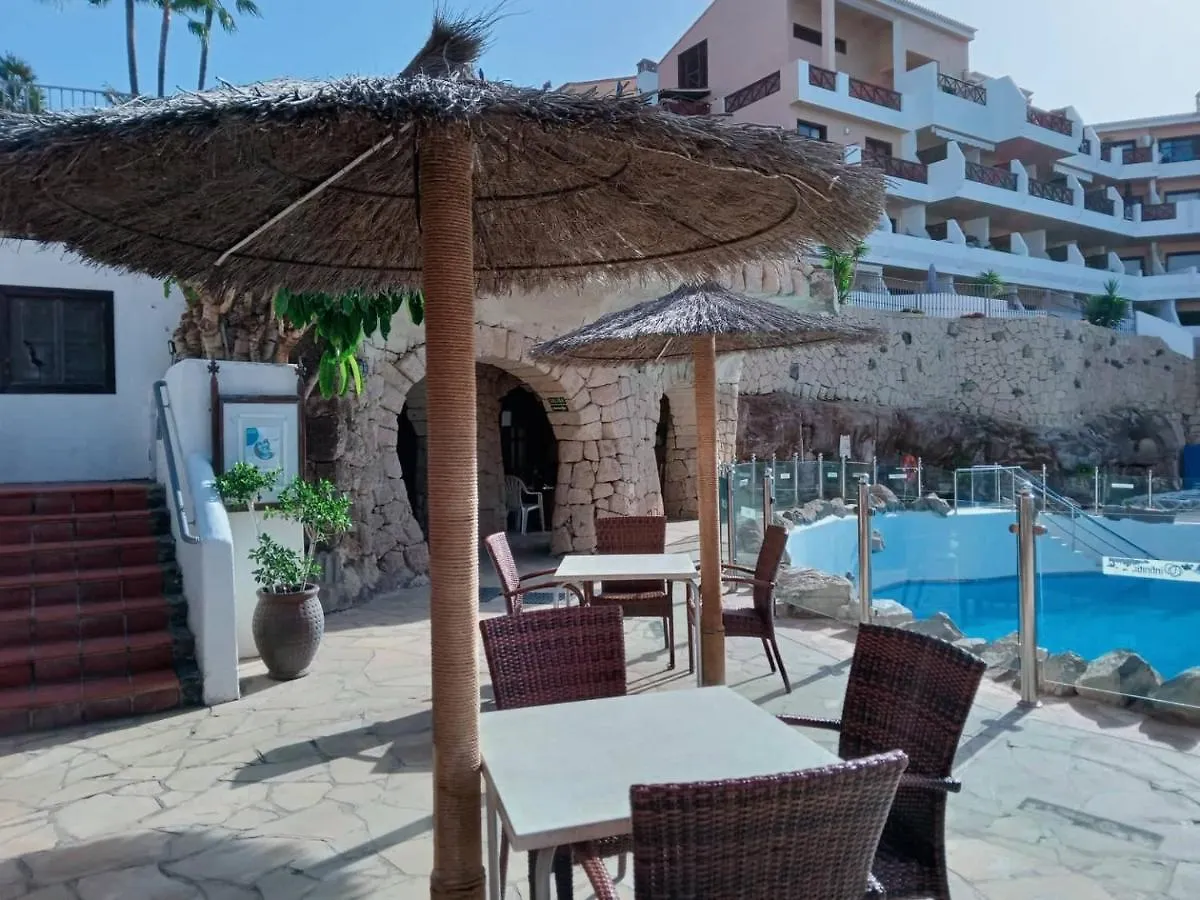 Ocean Breeze Albatros Apartment San Miguel de Abona Spain